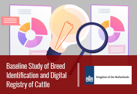 Baseline Study of Breed Identification and Digital Registry of Cattle